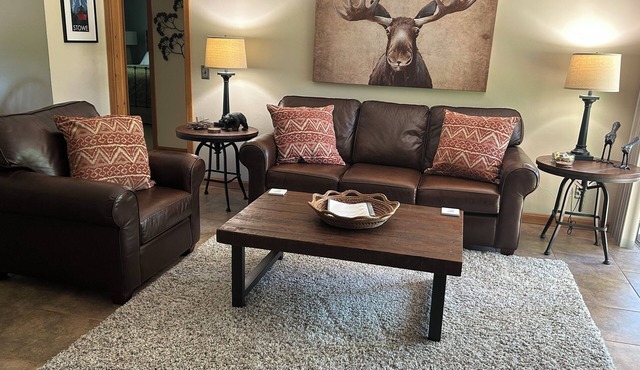 Newly Renovated Very Clean 2 Bedroom 2 Bath Condo Close to Skiing and Village