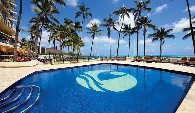 Oceanfront Gem! 3 Great Units, Steps to the Sand & Surf! Minutes to Diamond Head