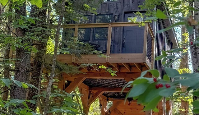 Owl's Nest Treehouse