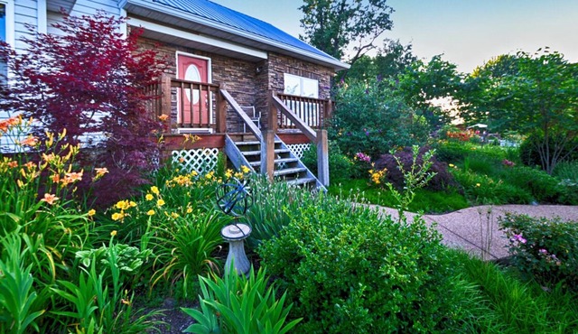 Ozark Country House, 3 bed, 2 bath, large yard, full kitchen, large deck.