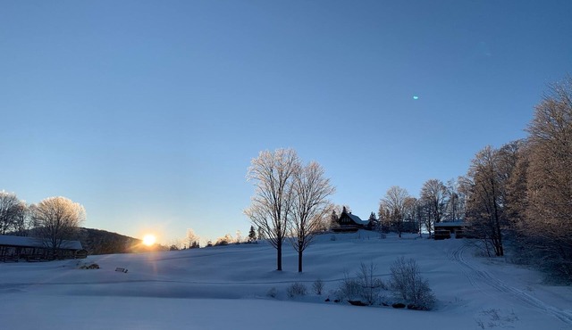 Peaceful, cozy, off-grid cabin on a horse farm in the beautiful mountains of VT.