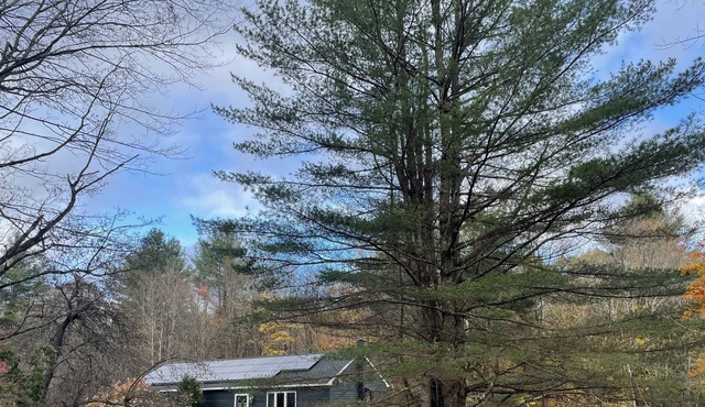 Peaceful modern retreat with woods and fire-pit 🌲 🌲 Family friendly 🌲 🌲
