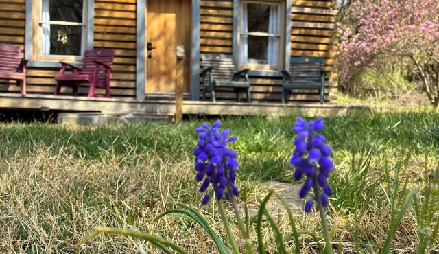 Peaceful mountain cabin in charming Berryville VA - next to river and brewery