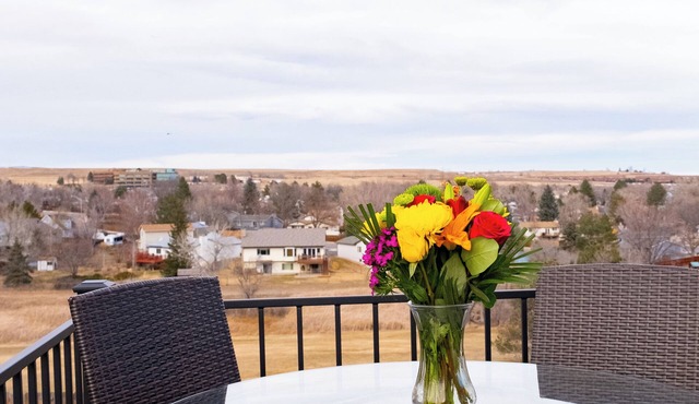 Pet-friendly 2b2b, beautiful views near Boulder in Westminster