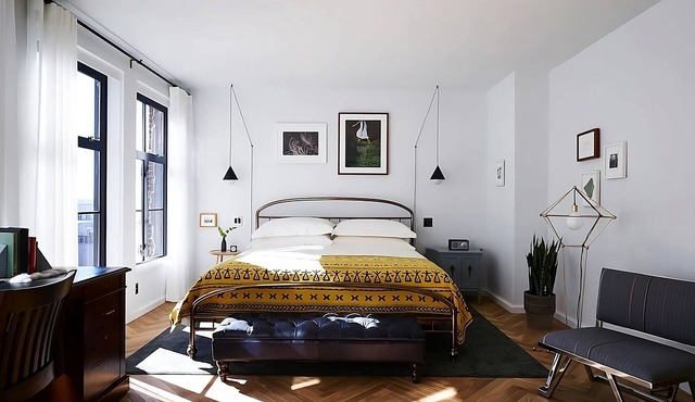 Pet-Friendly Arts & Comfort, Stylish DC All-Suite Experience!