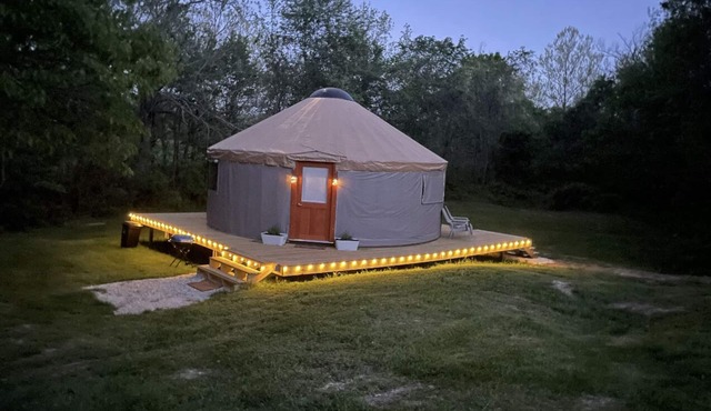 Pet friendly glamping in a private yurt with stunning 360° views by Forest
