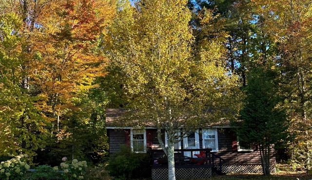 PINE COTTAGE: Pristine Echo Lake in the NEK of Vermont. Family and pet friendly!