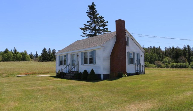 Point Field