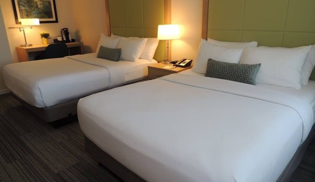 Premium Two Queen Room, The Inn at Longwood Medical, Walk to Museums - 2 Units