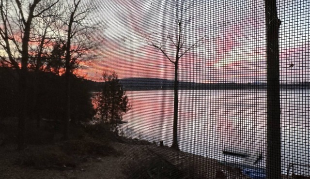 Pristene lakefront property - charming, quiet, and rustic for nature lovers.