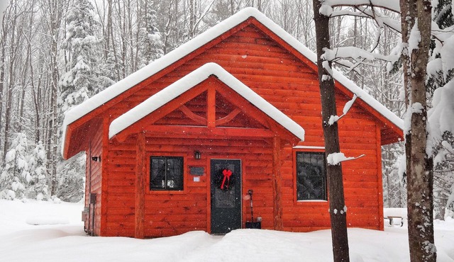 Private pet-friendly cabin in the woods w/private campfire pit & screened porch