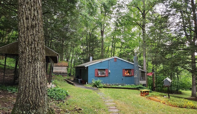 Private rustic cabin in New Ringgold