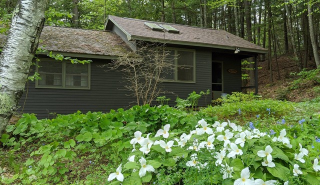 Quaint cottage on peaceful NH lake! Enjoy swimming, kayaking, and trails.