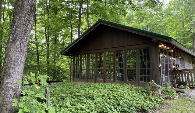Quiet cottage nestled in the woods