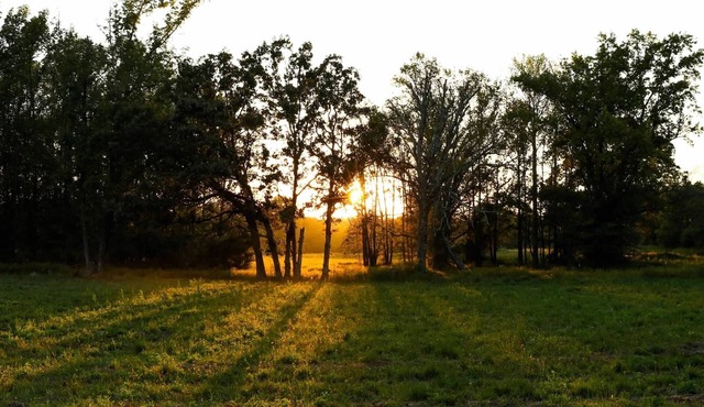 Quiet country home on a homestead farm