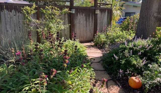 Quiet garden home near the beach