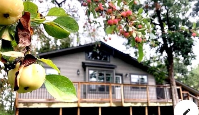 Quiet, serene accommodation with fire pit, lake view, screened-in sitting area. in Onanole