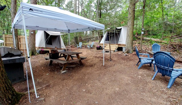 Rare, peaceful glamping, hot shower, mini golf near appalachian trail