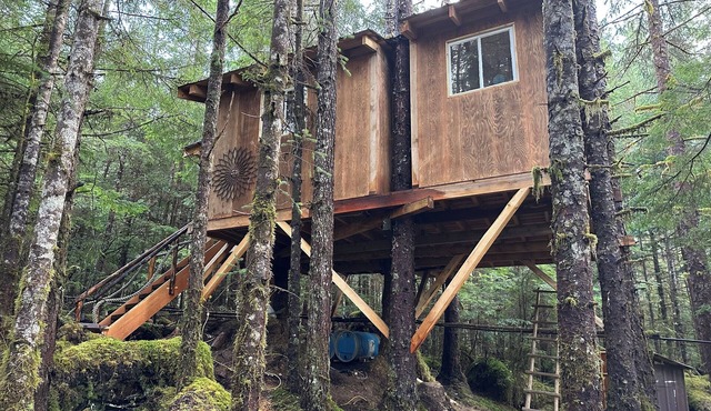 Raven's Nest Treehouse