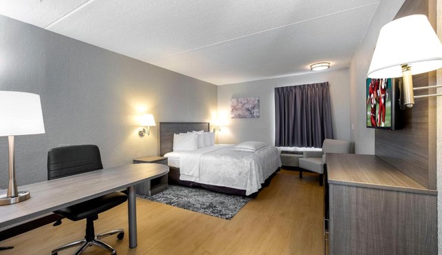 Red Roof Inn PLUS Boston - Mansfield - Foxboro
