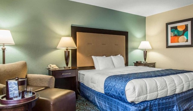 Regency Inn and Suites - Handicapped Non Smoking King