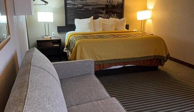 Relaxing Lexington Suite Perfectly Near the Heart of the City w/Free Parking