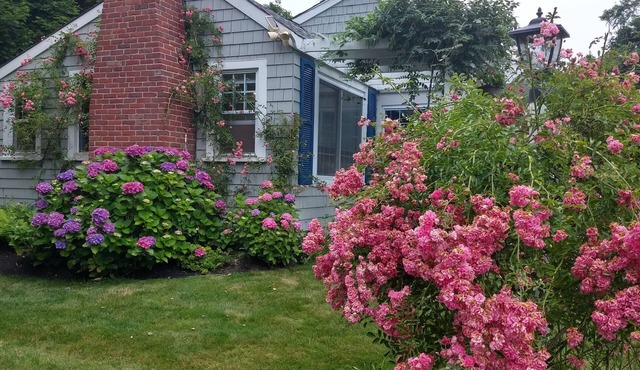 Remodeled historical Gosnold Cottage.300 yards to the beach.