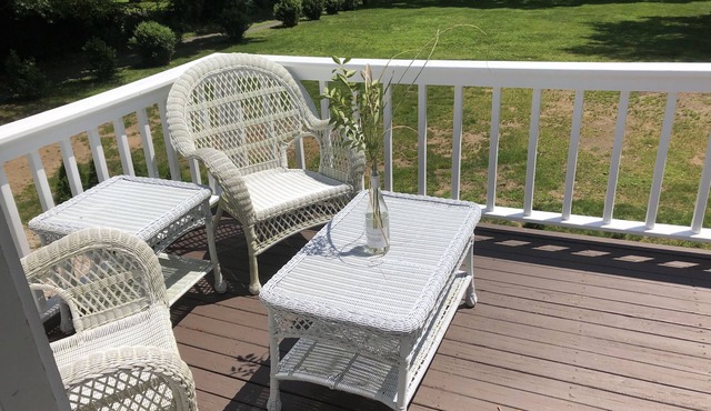 Renovated 1 bedroom Cozy Apt-Madison