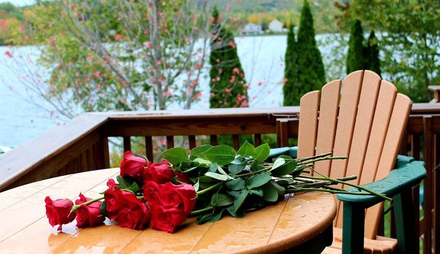 Rent a log home on a private peninsula on Northwood Lake. Enjoy Paradise!