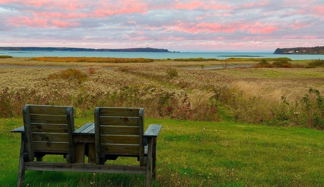 Romantic Downeast Ocean Front Cottage ~ Amazing Views ~Near Quoddy Head Park!