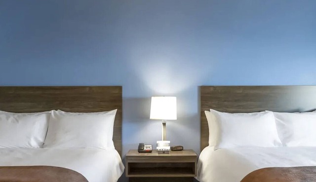 Room w/Kitchen, Pet-Friendly – 5 Mins to Coler Mountain Bike Preserve