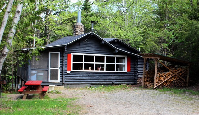 Rustic log cottage, River-view, Pet-friendly, Downeast Maine
