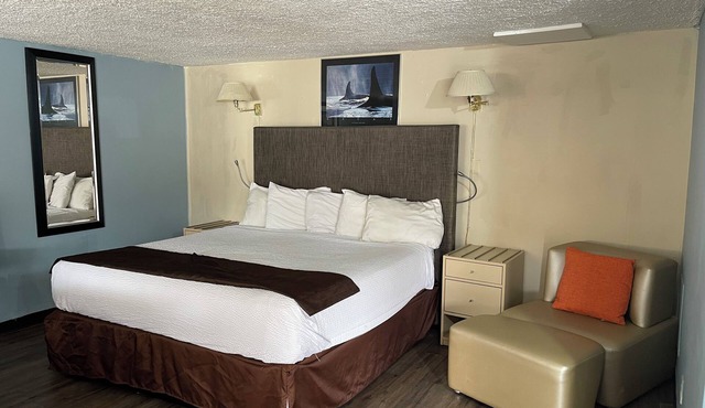 Safari Motel