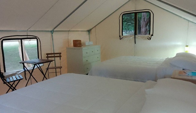 Safari Tent Glamping,D26-CedarPt, East Hampton, NY