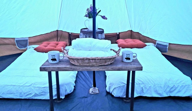Secluded Mountaintop Retreat – Rustic Luxury & Panoramic Views at Freedom Farm