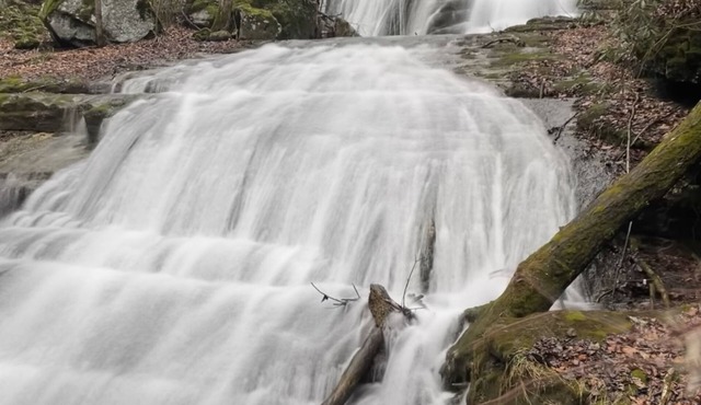Secluded Retreat- Endless Mtn Views, Rushing Stream, Waterfalls- Sleeps up to 22