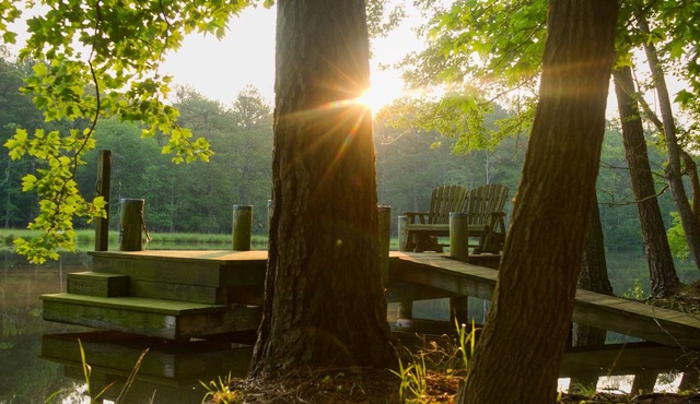 Secluded Waterfront 15mi to Assateague Beach Fast Wifi Kayaks Near Berlin, OC!