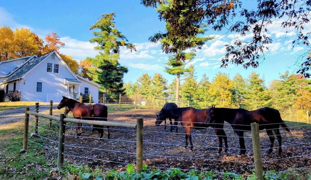 Serene 1-bedroom suite on 75 acre horse property