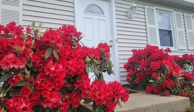Spacious 5BR Beach House Vacation-walk to Scarborough!