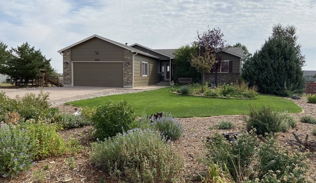 Spacious and Comfortable Garden Level Basement Apartment