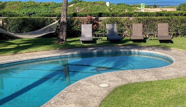 Specials - Sep-Dec, Tropical Oceanfront Estate, Pool, Gated, Privacy, Ocean view