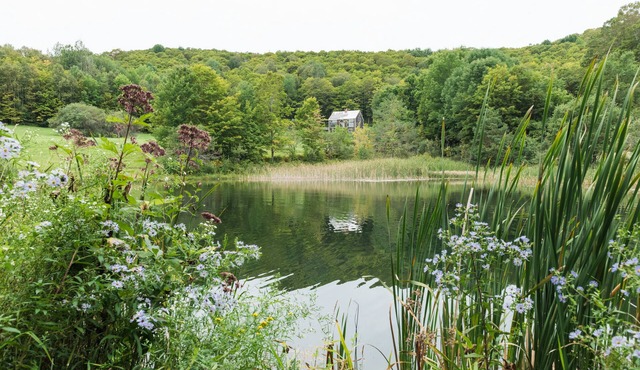 Spectacular home on 60 acres, swimming pond & trails, pet friendly + EV charger