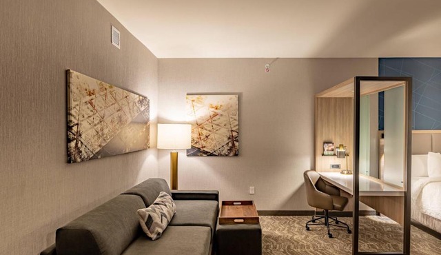 SpringHill Suites by Marriott Dallas McKinney