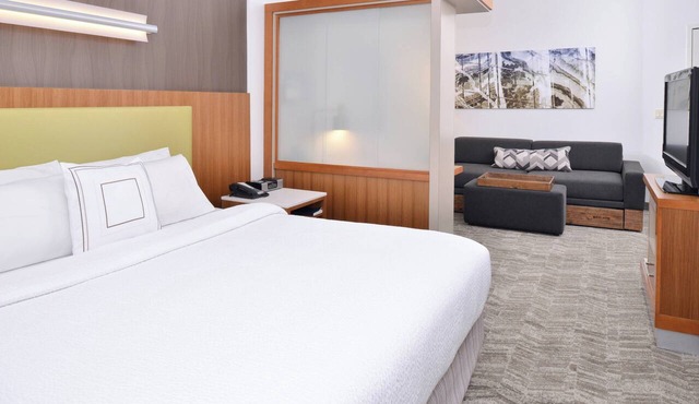 SpringHill Suites by Marriott Ashburn Dulles North