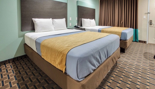 Stay Comfortably: Economical Rooms with Microwave & Mini-Fridge