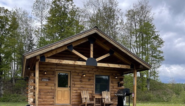 Stay on Kingdom Trails in an efficiency one-bedroom cabin!