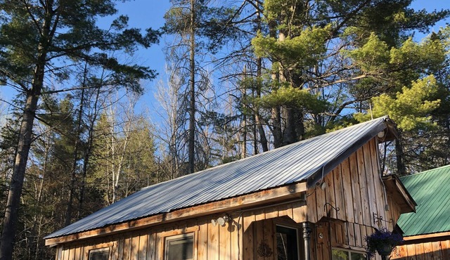 Sun drenched cozy cottage on budding 17 acre homestead