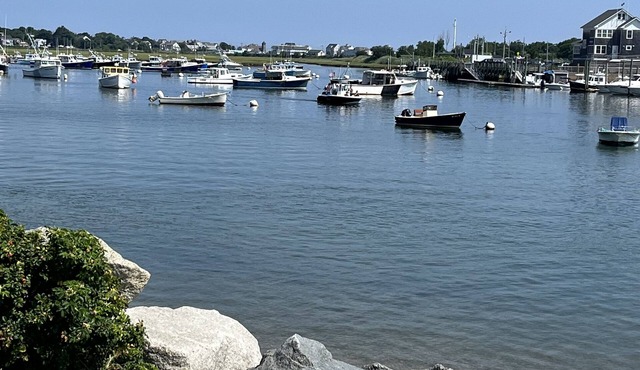 Sunny 2-bedroom beach cottage, walk to beach!
