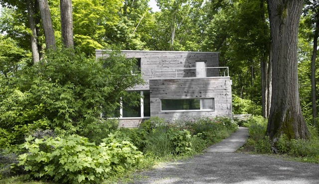 Sunny Clutter Free Modern Home