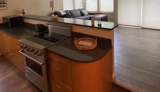 Tanaka Condo